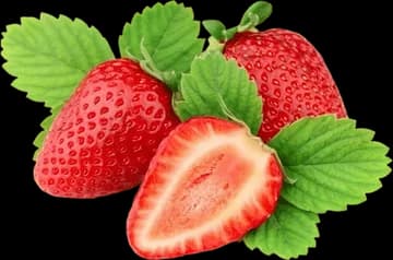 Strawberry Extract