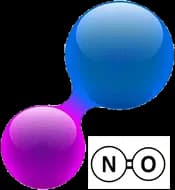 Nitric oxide